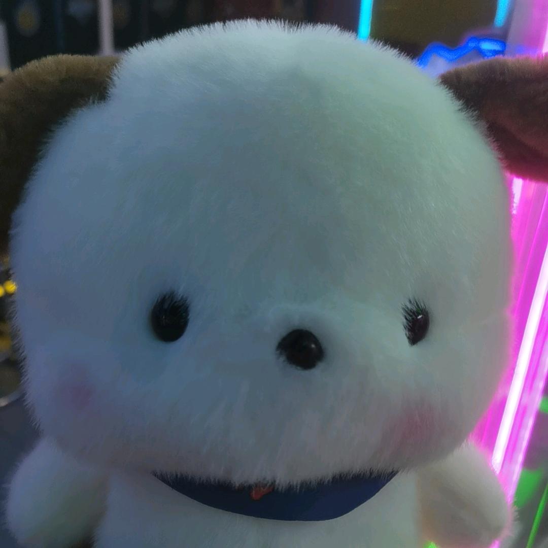 小猫咪