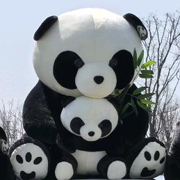 小九