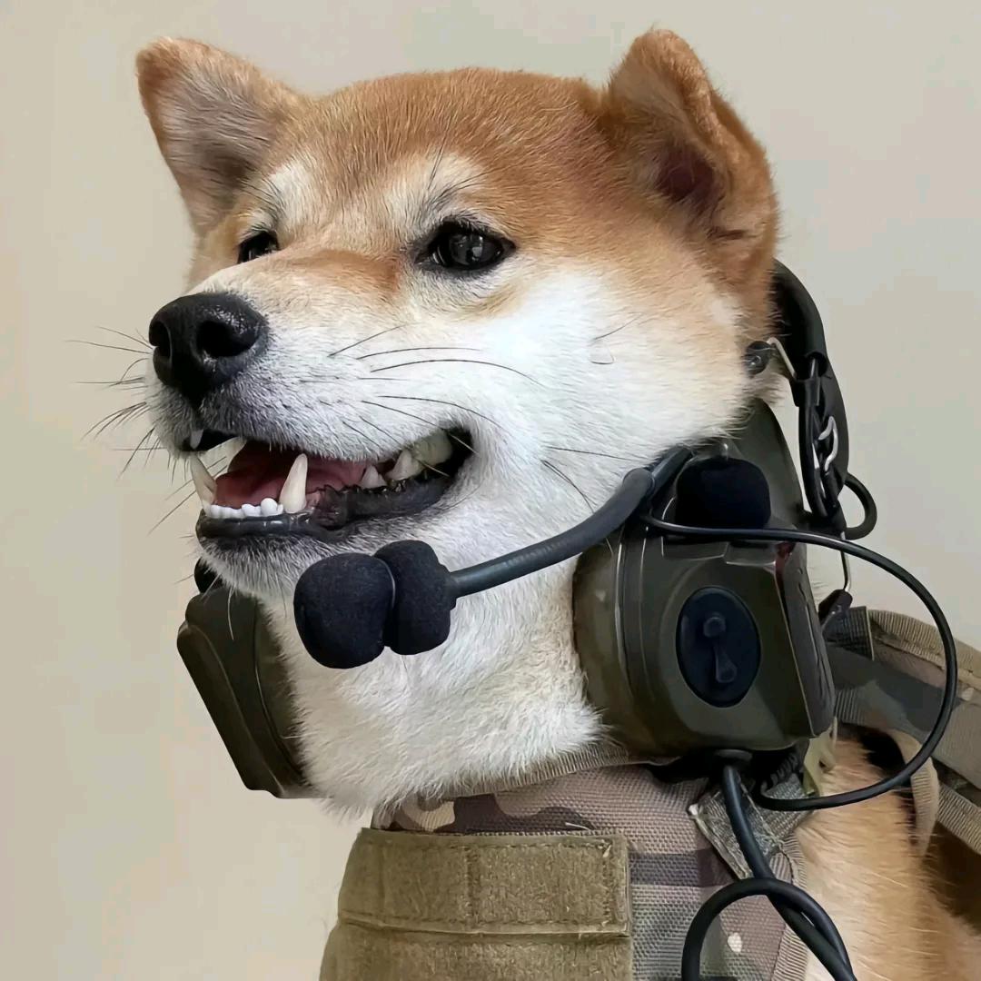 狗蛋