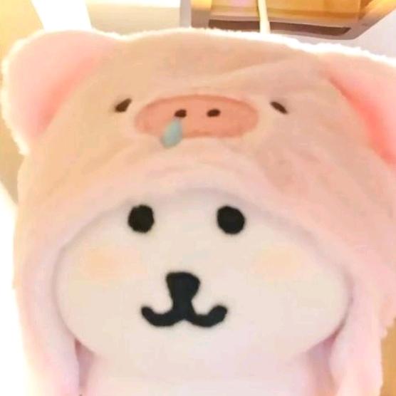 芋圆不圆