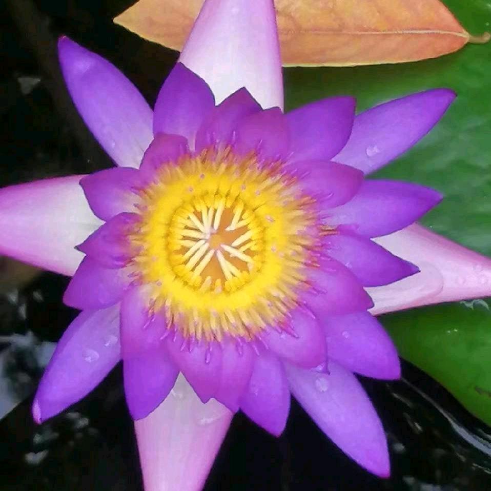 胡少华  制卡标签