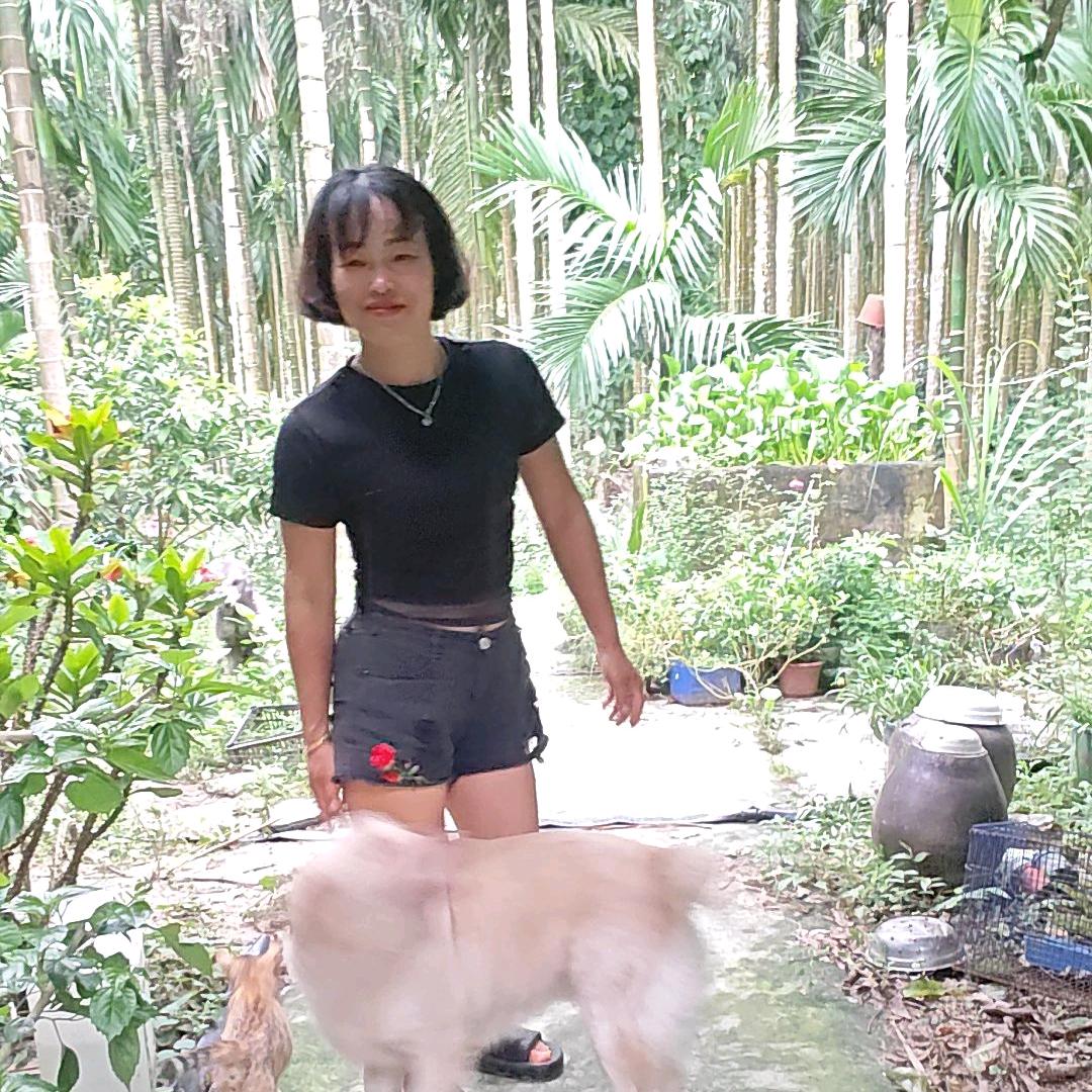 消逝的紫风铃