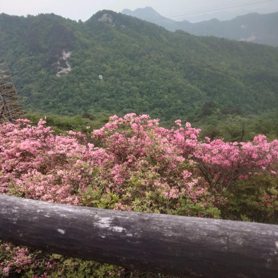 蓝天