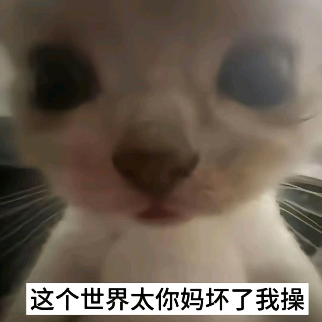 再见理想