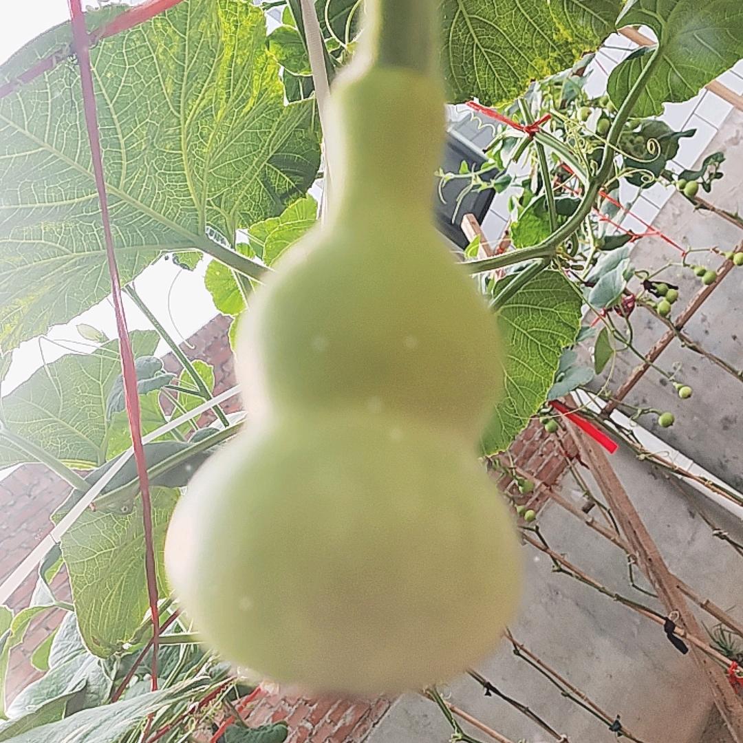 一葫老九工艺品店