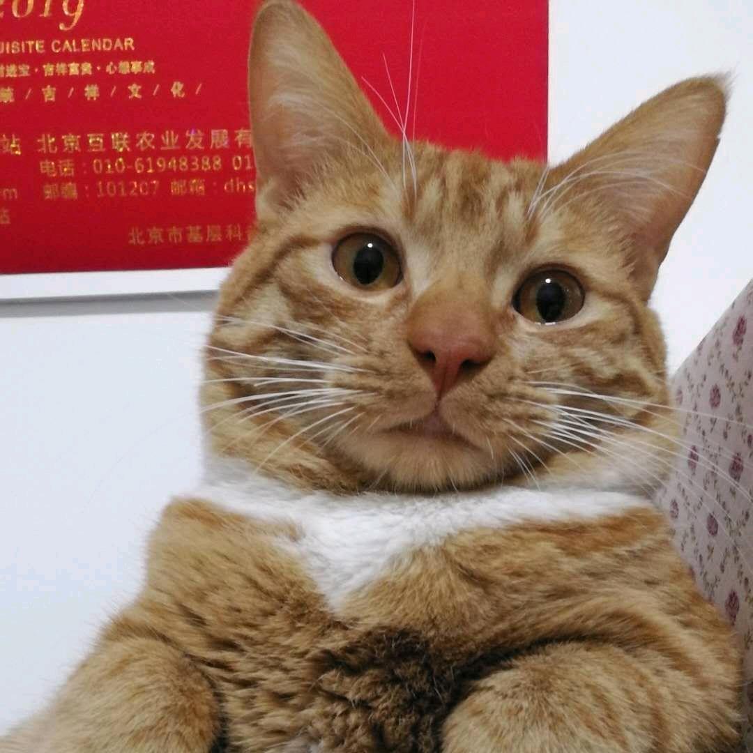 只为一杯苦咖啡