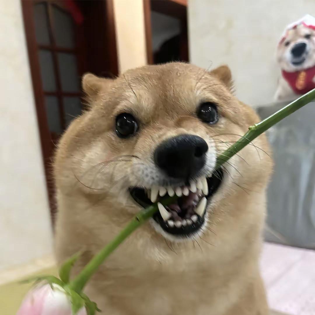 找机会.