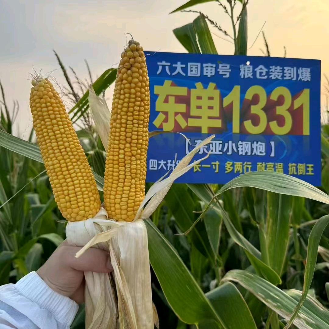 蒙城李之利农资