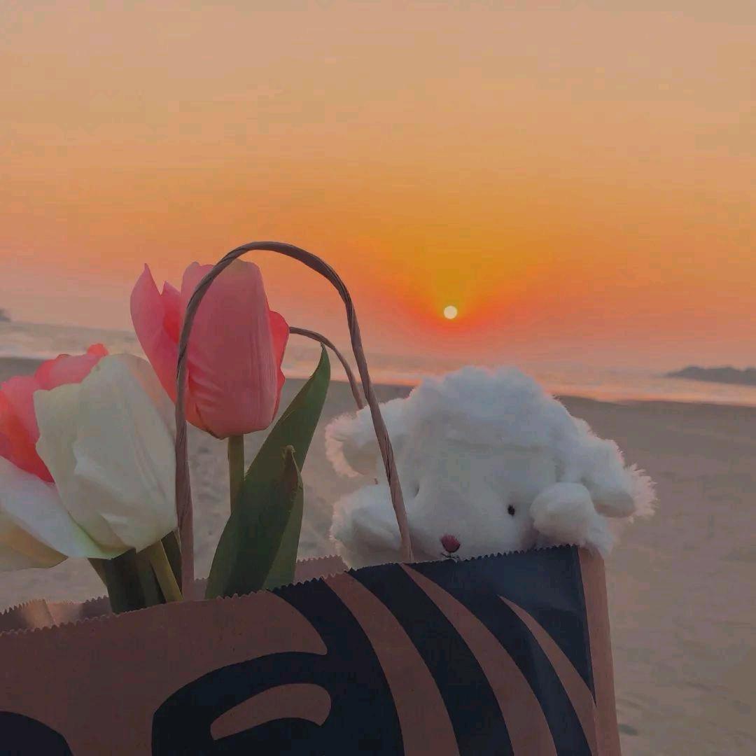 芋泥@