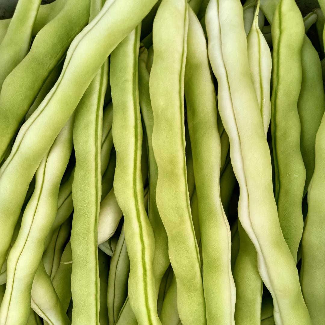 简简单单