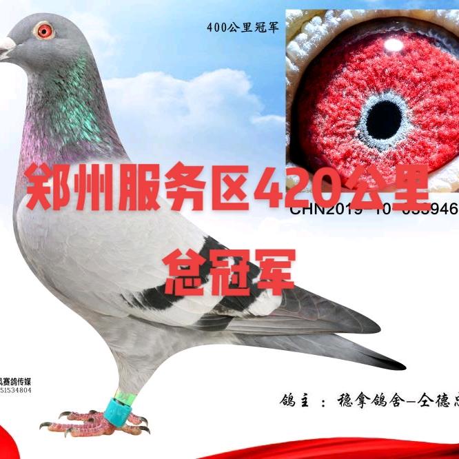 少跟我扯蛋