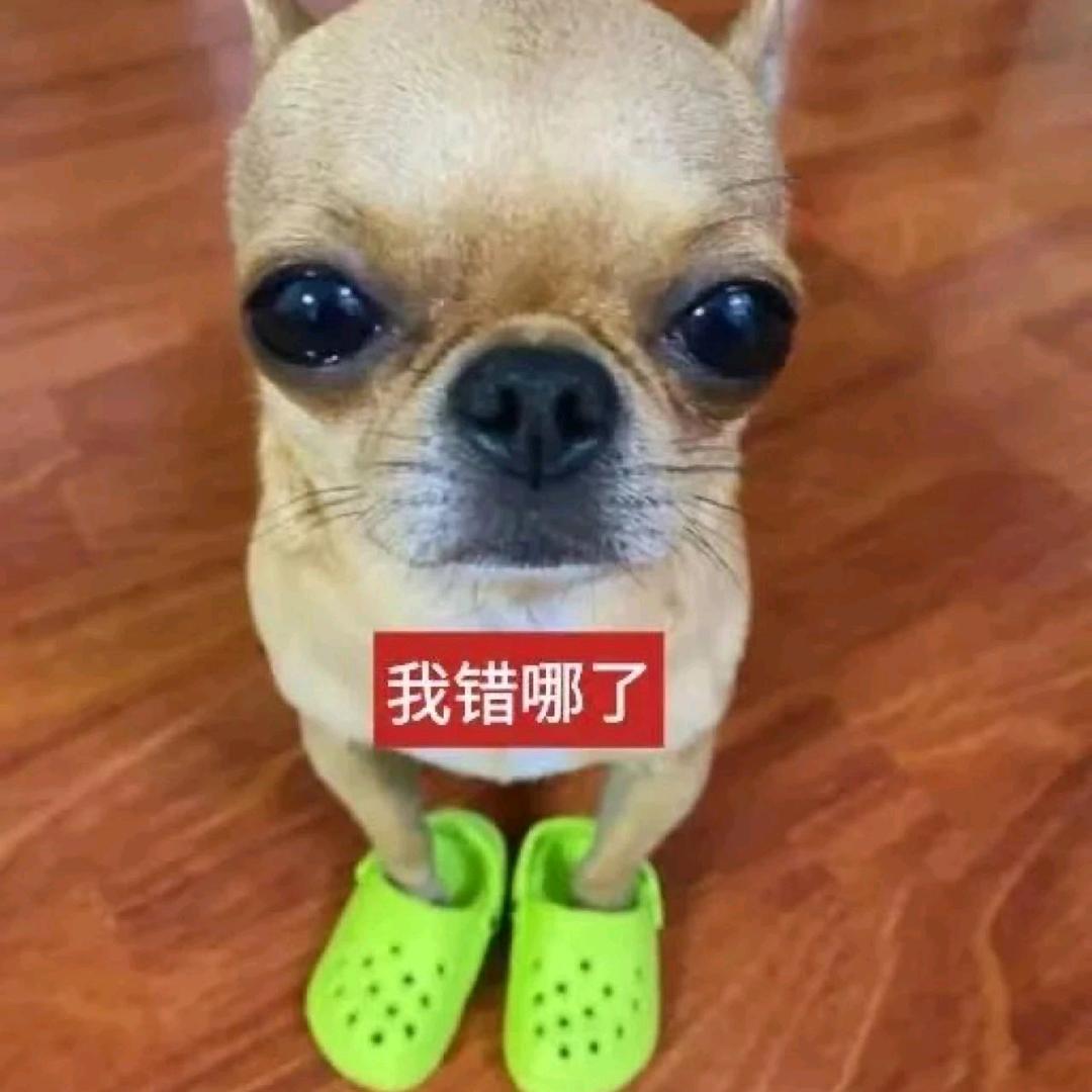 油锅鱼