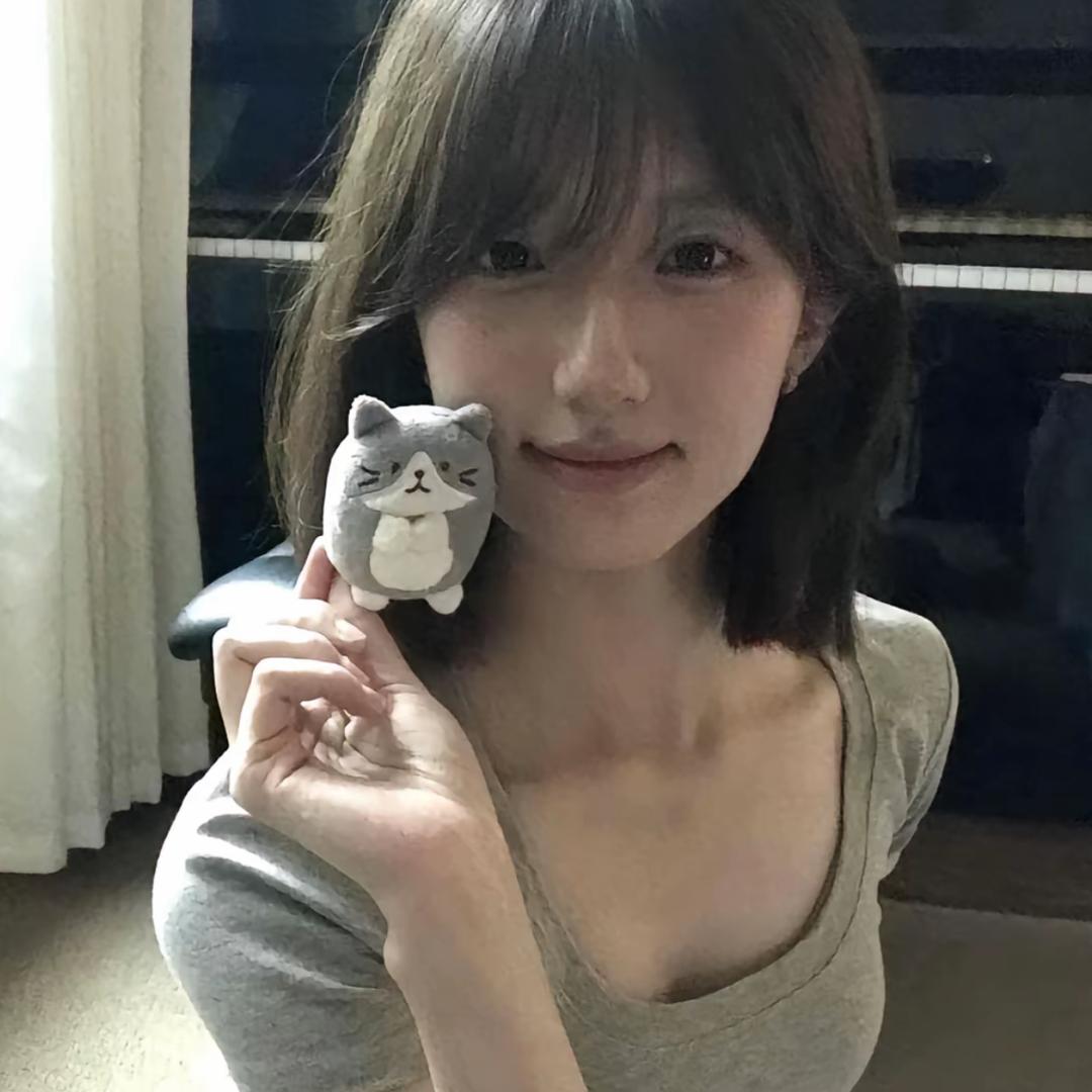 笨笨猫