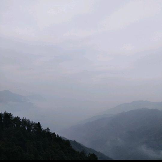舞泉