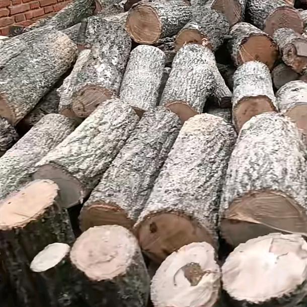 栎木烤火柴