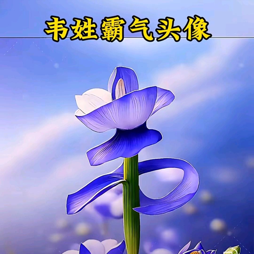 韦三妹681