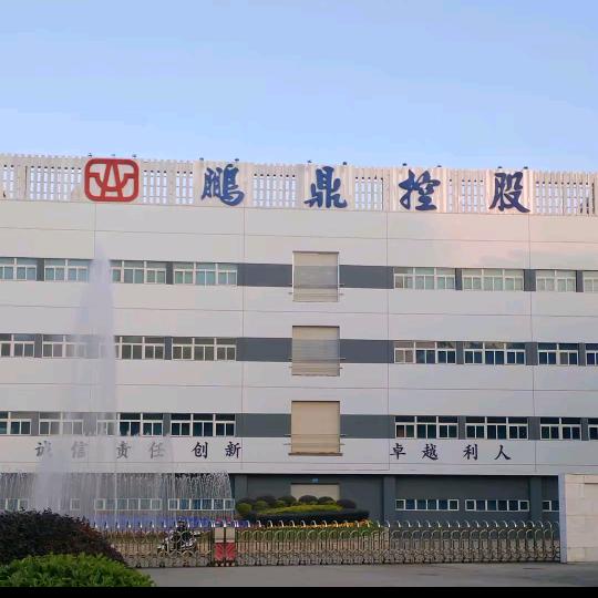 鹏鼎打工人