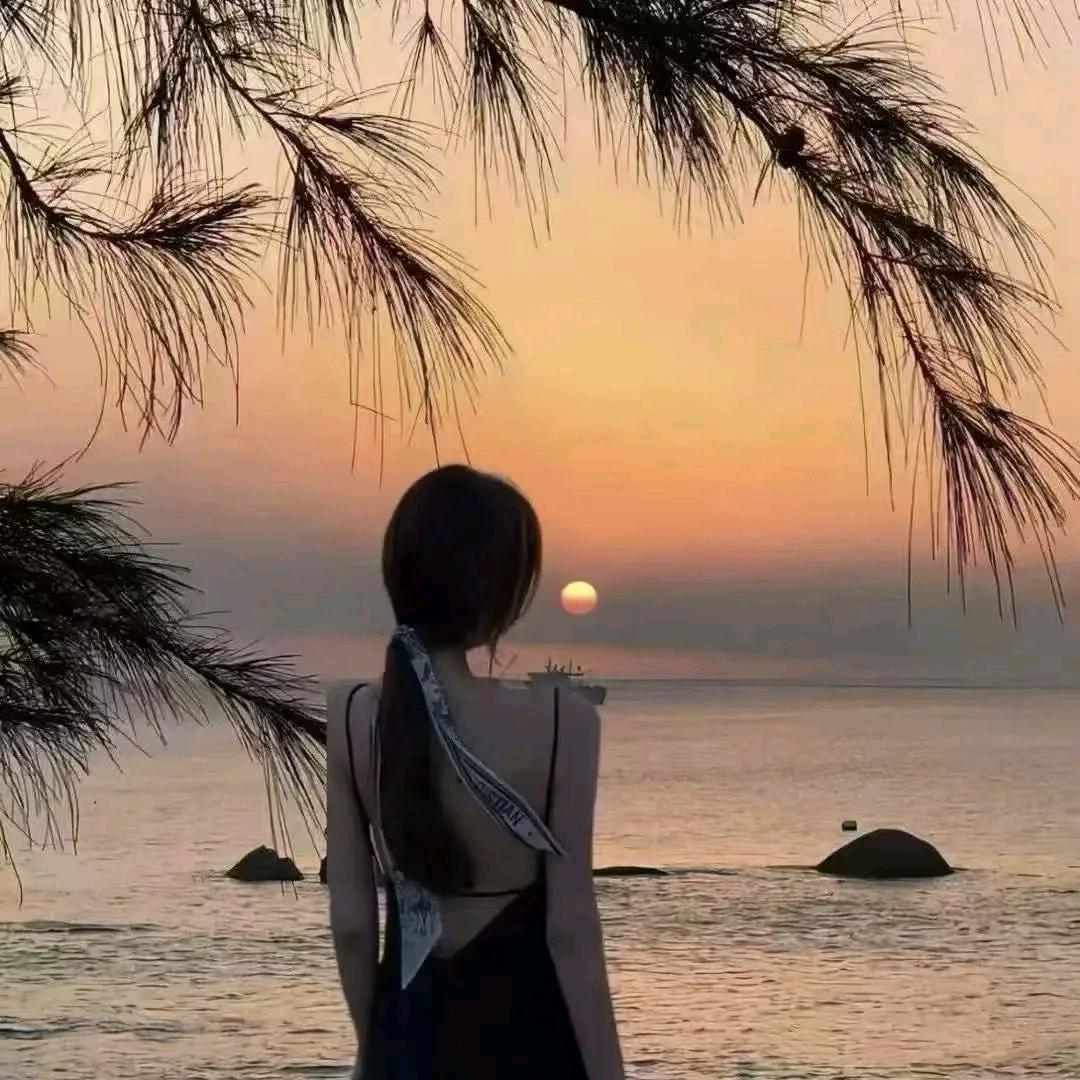 小橘猫