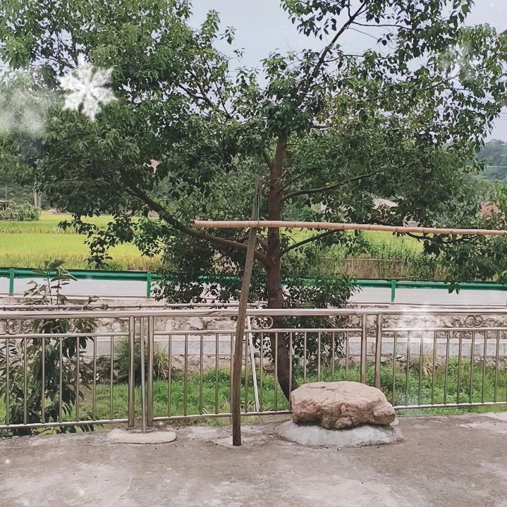 邹氏
