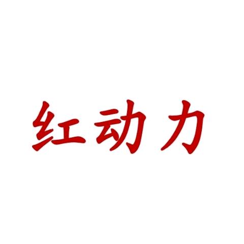 红动力网约车 果果