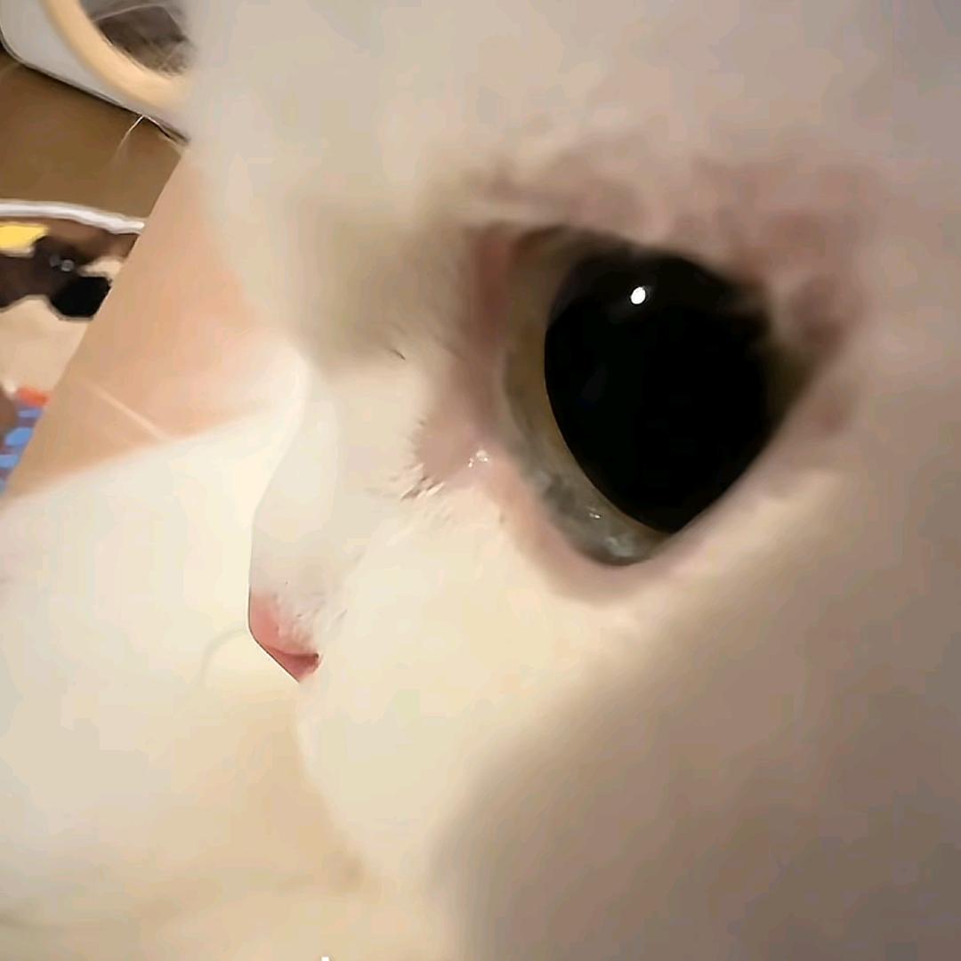 zero(꒦ິ⌓꒦ີ)