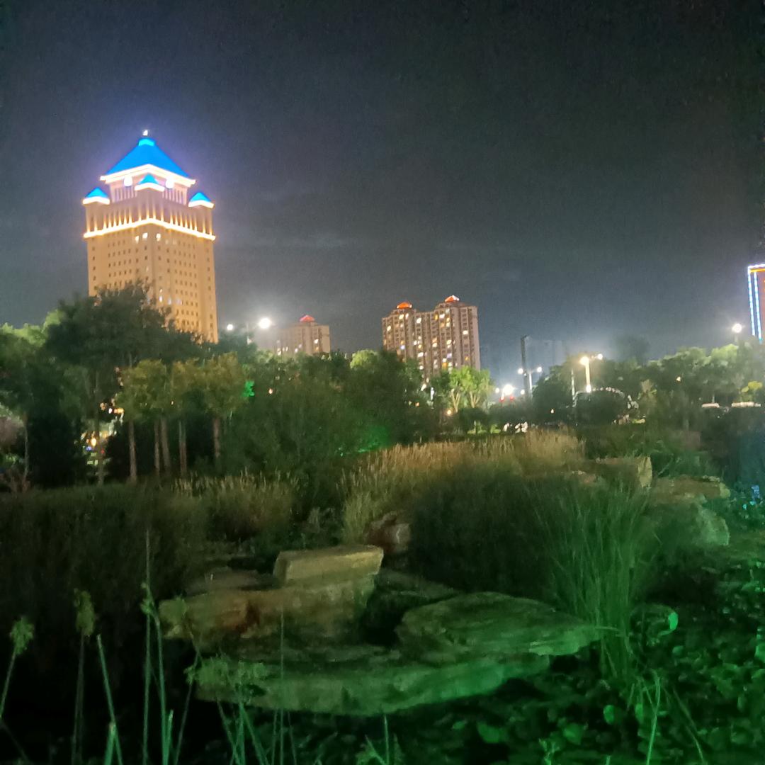 钟爱一生情感音乐