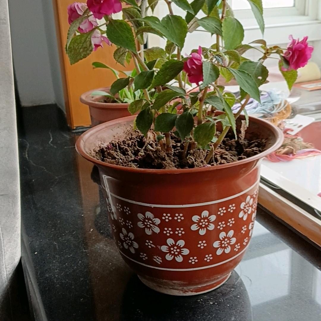 春夏秋冬。