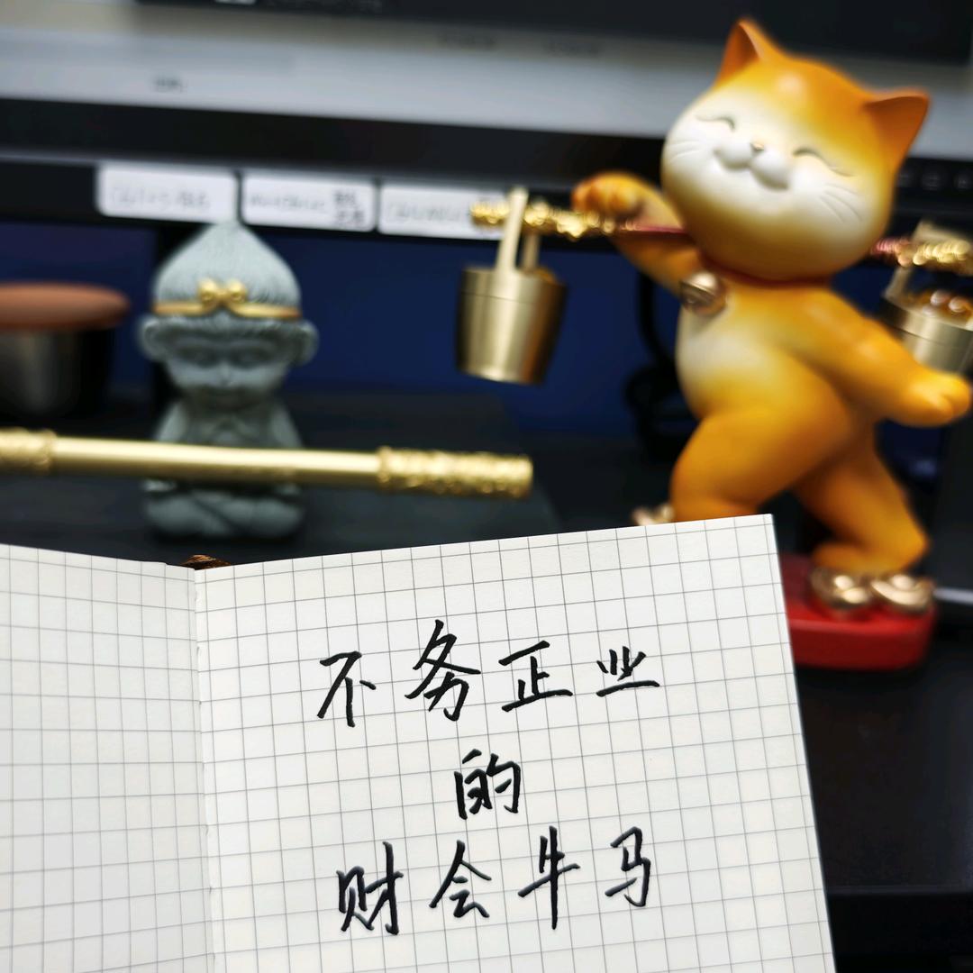 不务正业的财会牛马