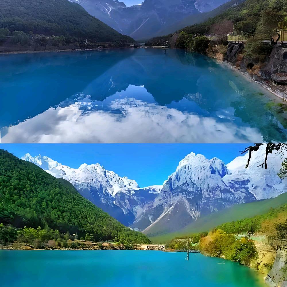 zhenxinji_001