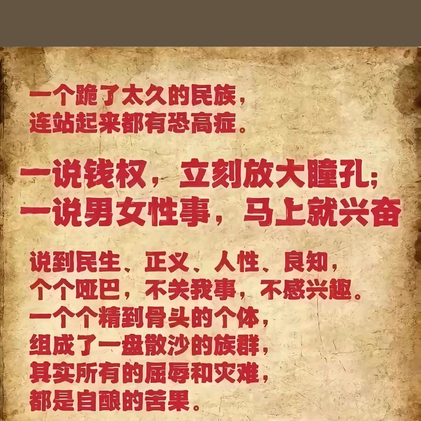 一介散修