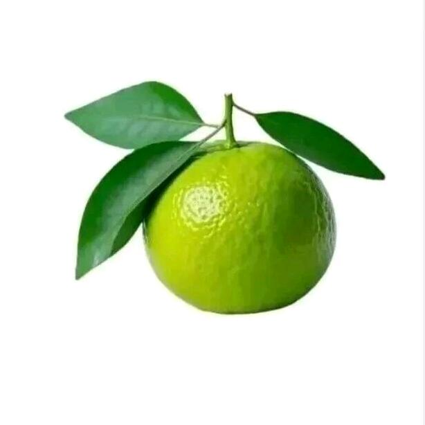 Ss