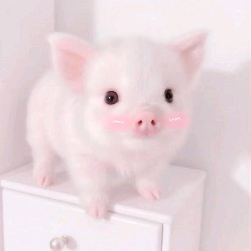 绵