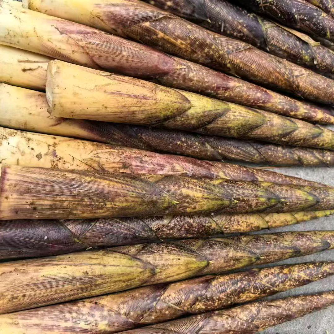 单身的我