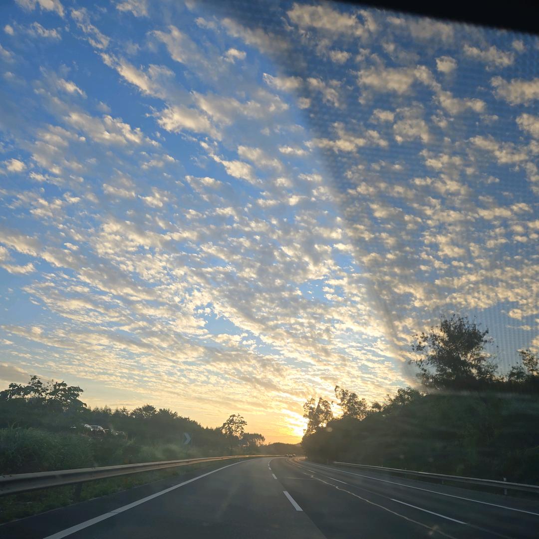 面向太阳不转身不低头