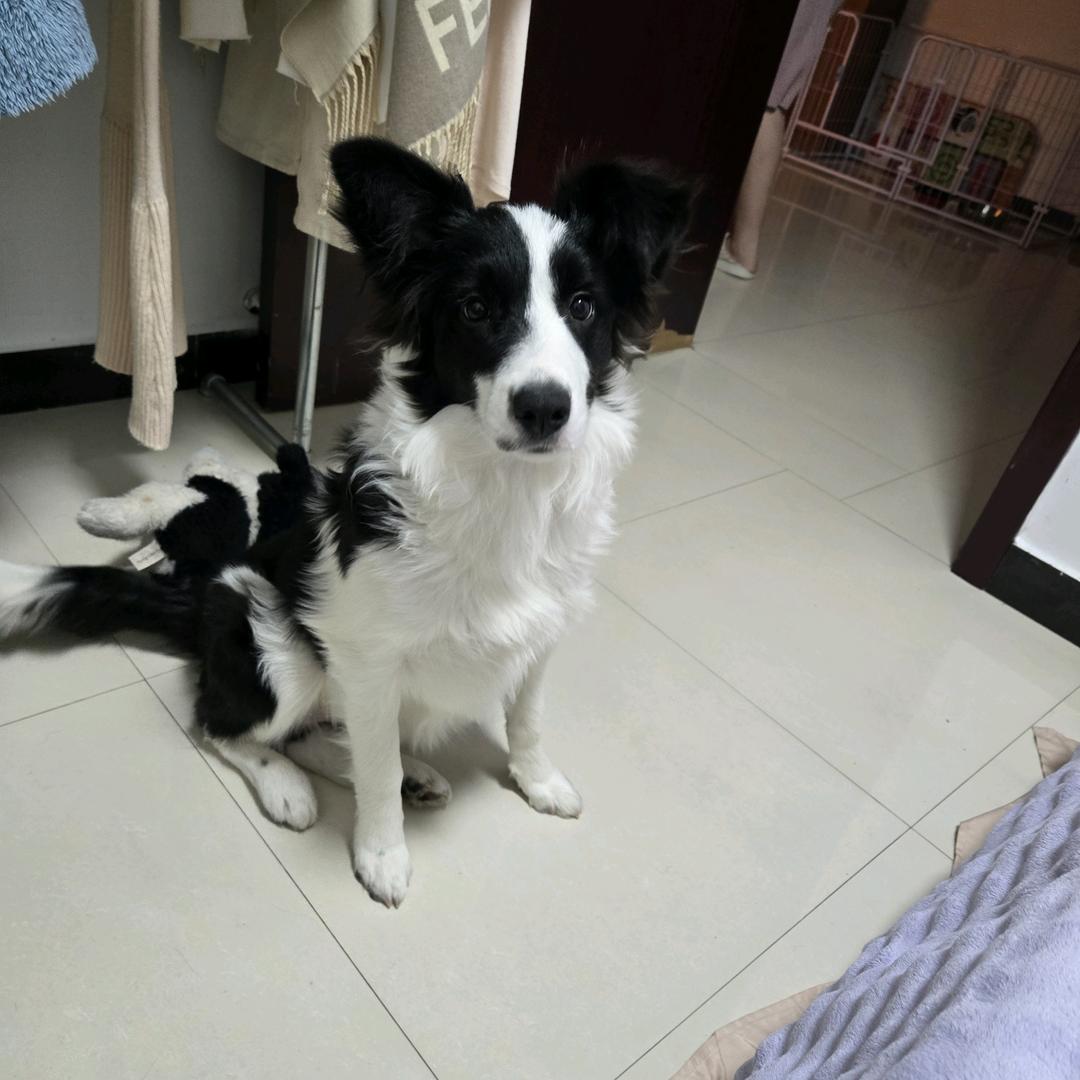 听雨看雪