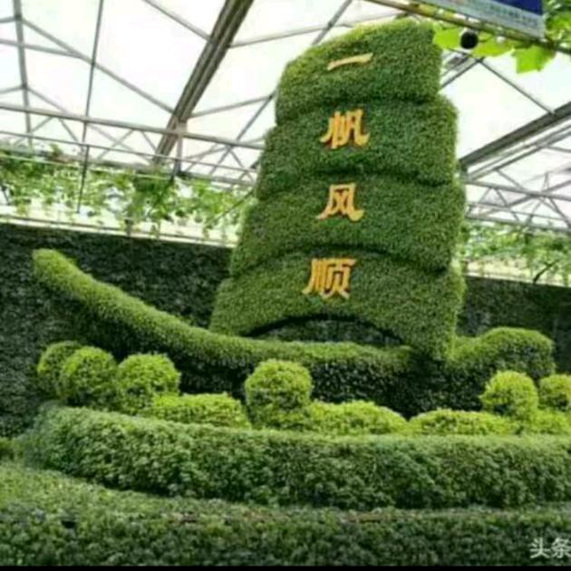 单身哥