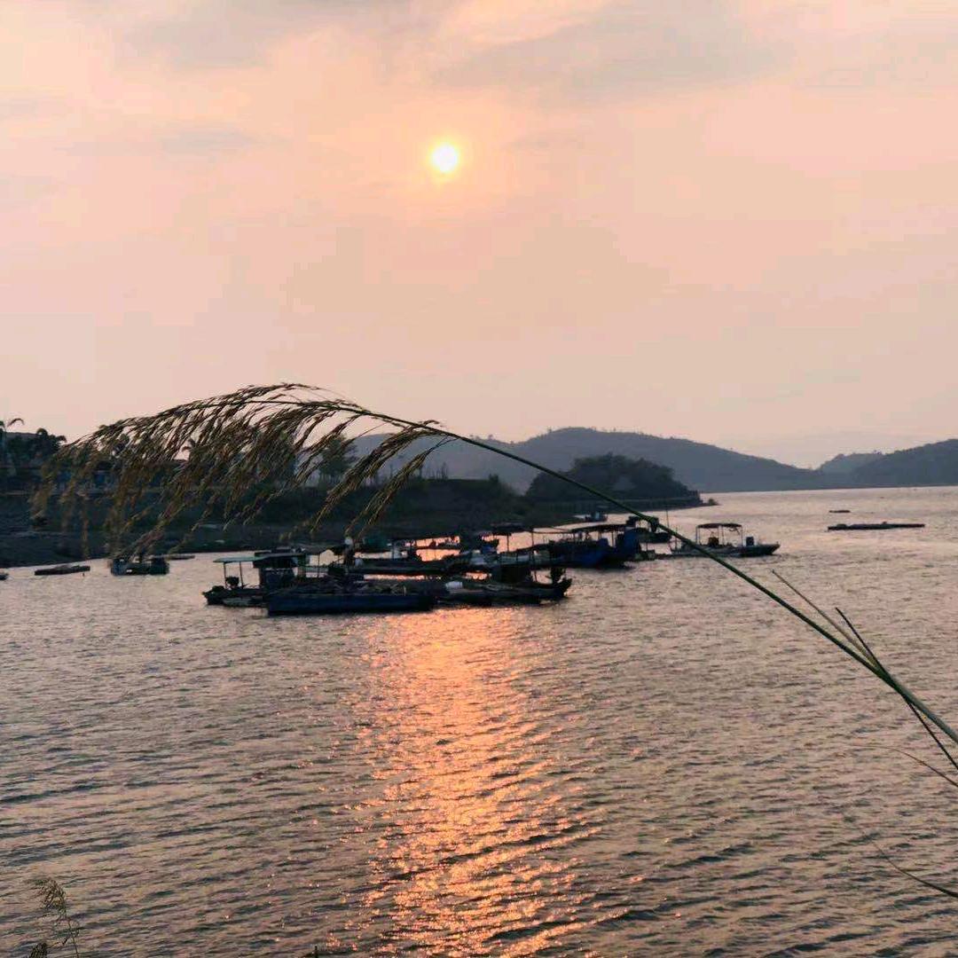云上的风