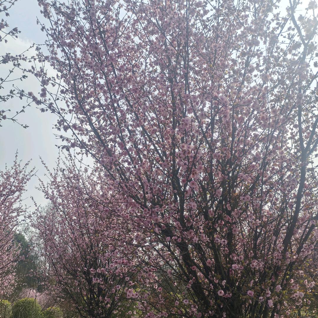 你骗谁