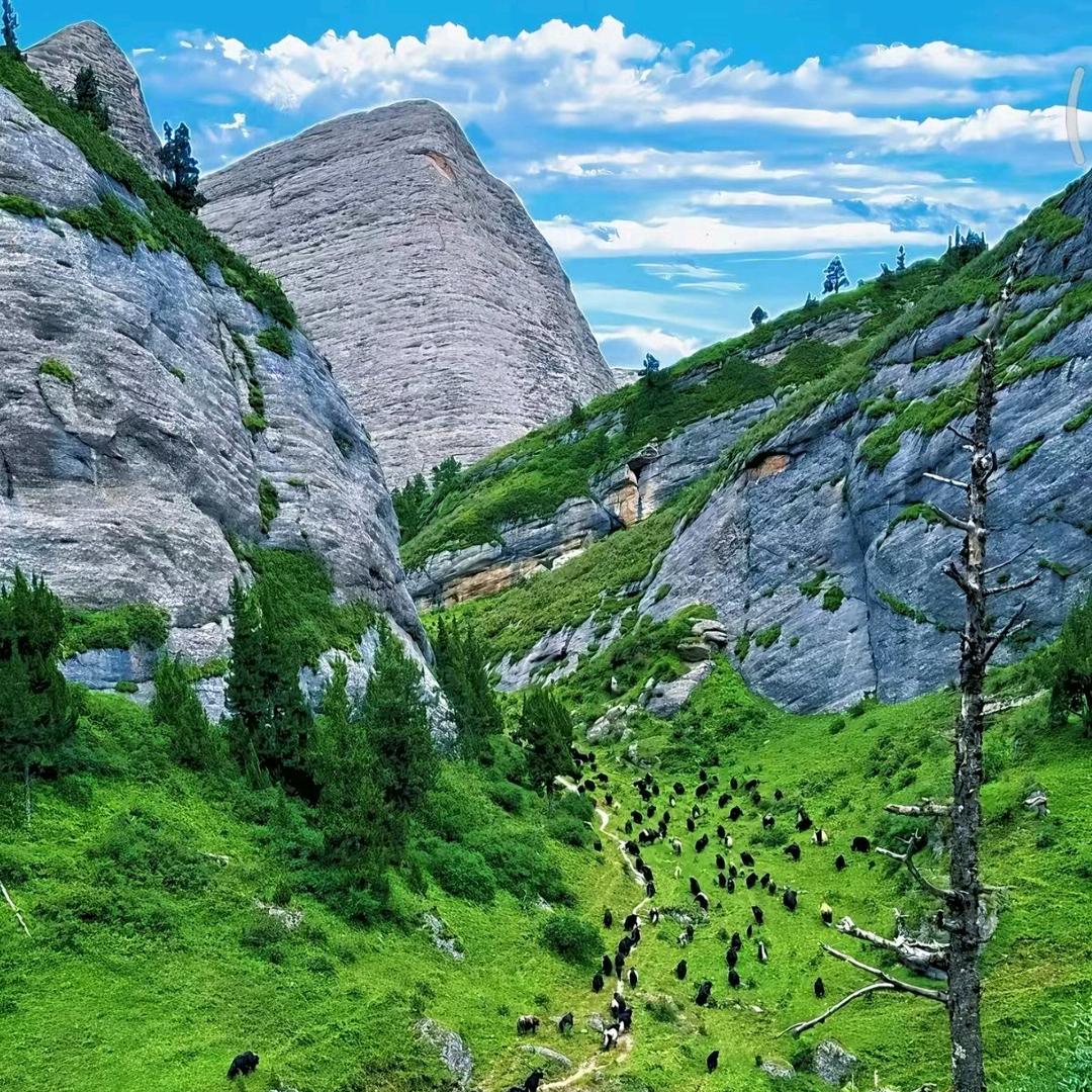 ꧁💞心被挖空💞᭄᪲ᩚ