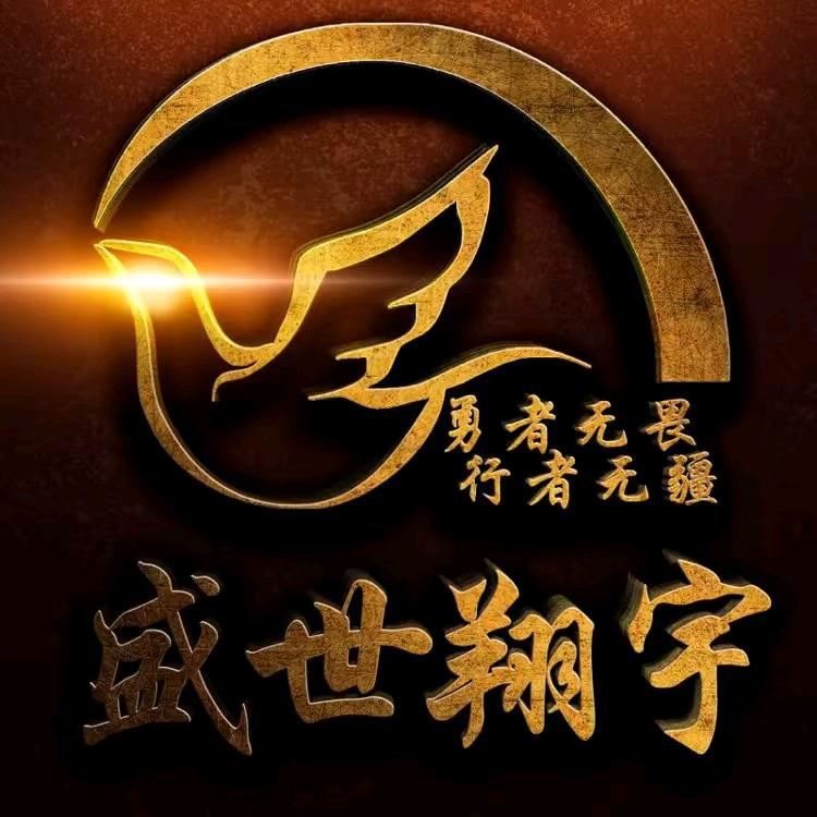 盛世翔宇🇨🇳李宁