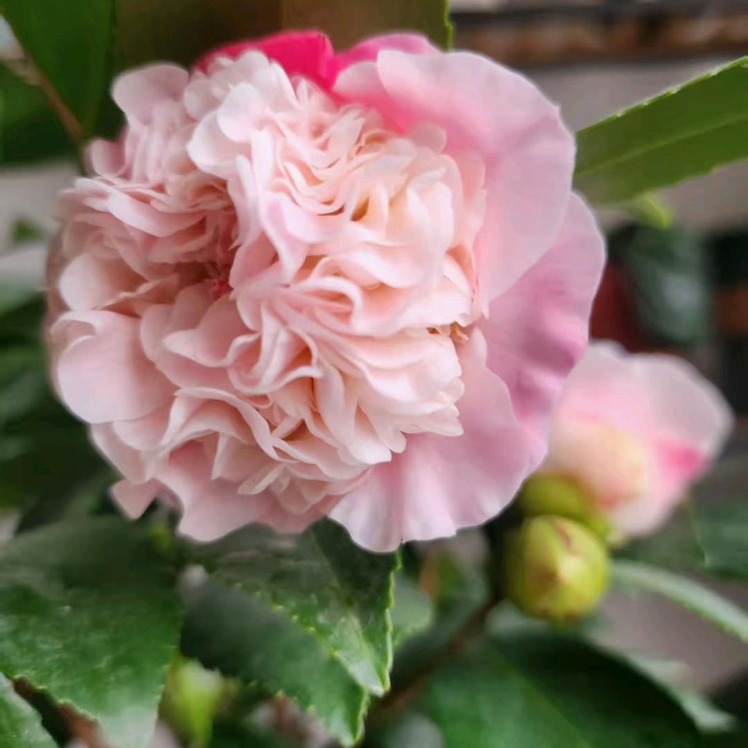 快乐人生（拒私聊）