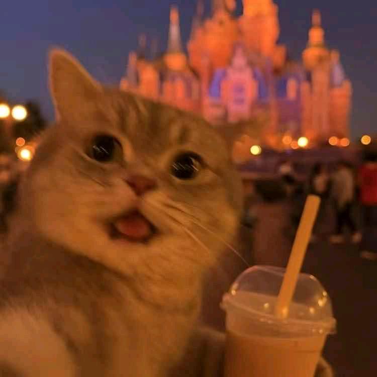 赫（豪车租赁）