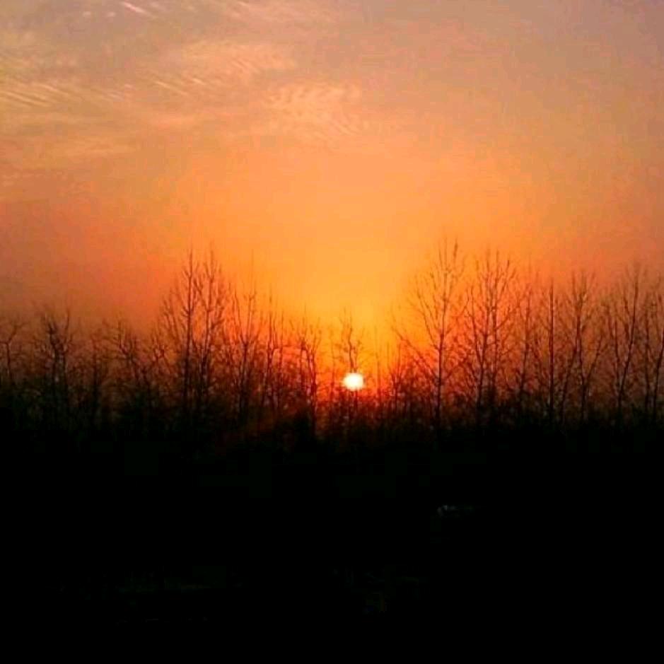 ୧⍤⃝🍒♥_________╭☞※