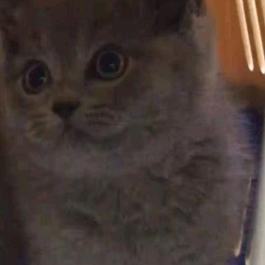 用户560697梅梅姐