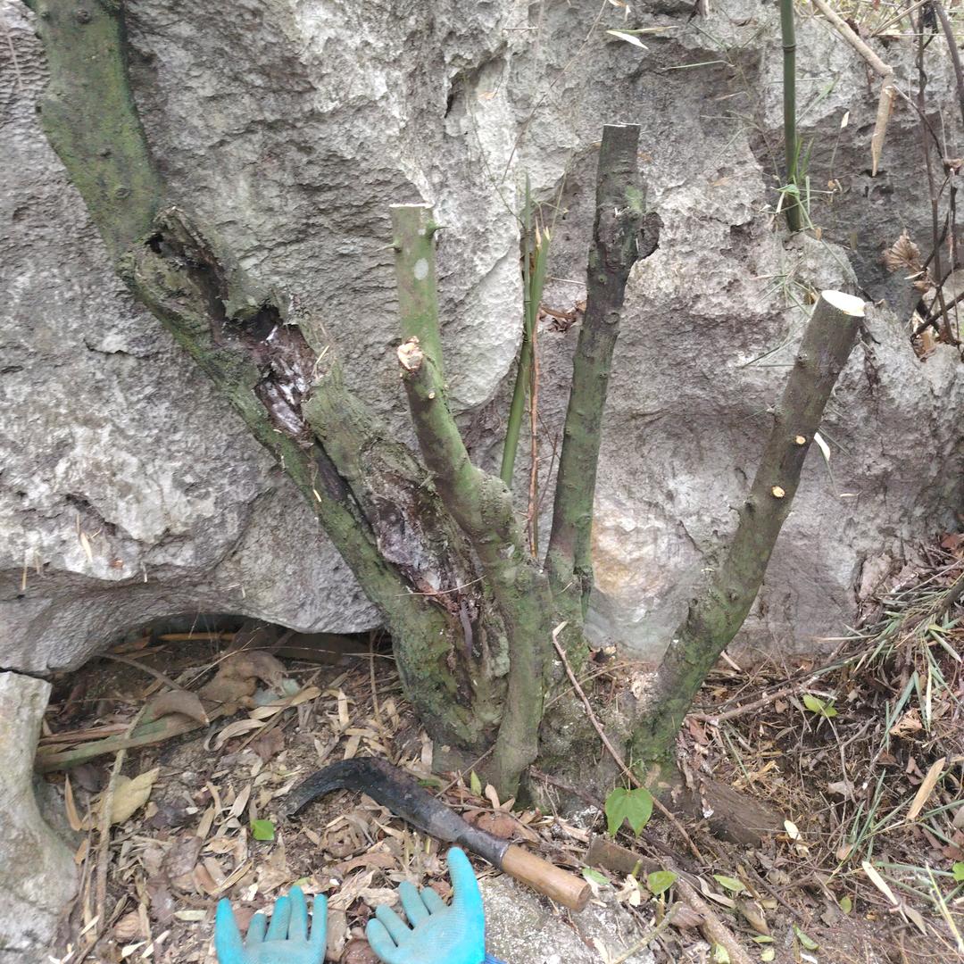 一路顺风