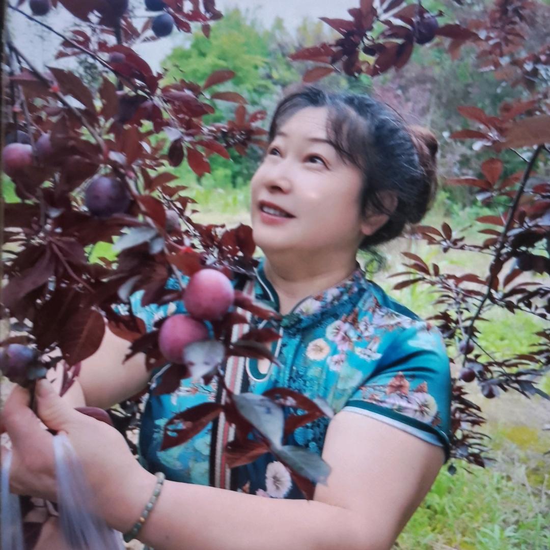 唐三妹2唱山歌每晚8点30