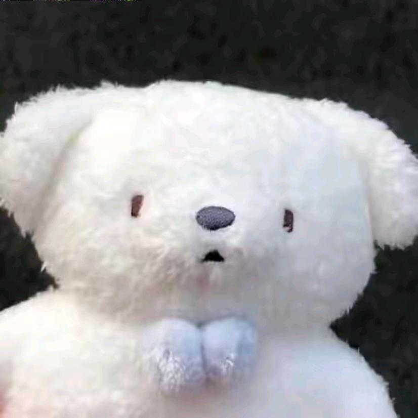 梦动进来的直播号