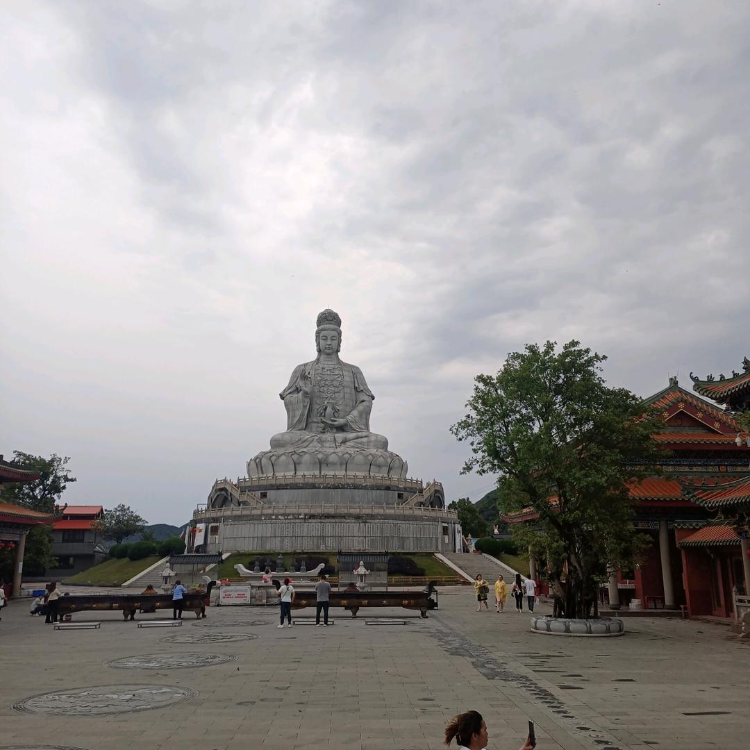 明天会更好