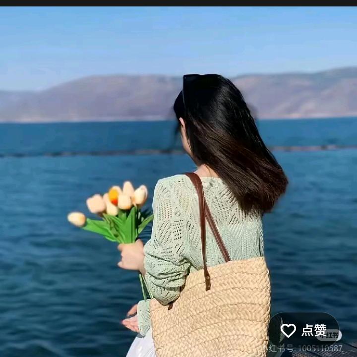用户337789455397