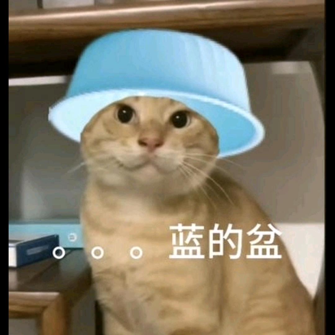 091315衡